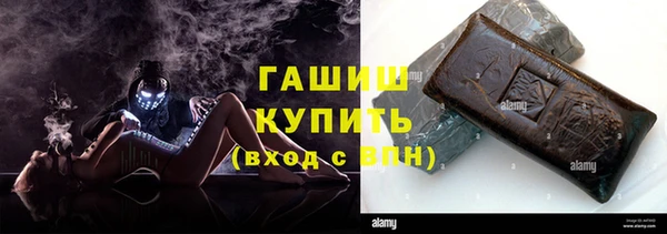 стаф Апатиты