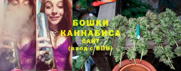 стаф Апатиты