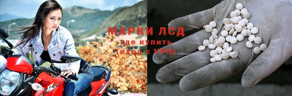 стаф Апатиты