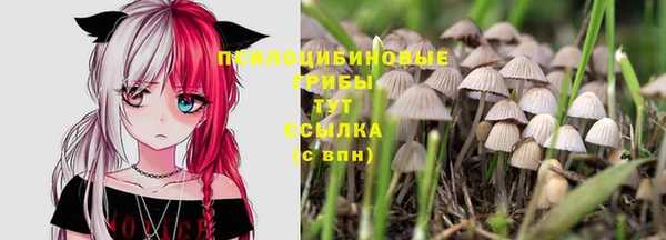 синтетический гашиш Магадан