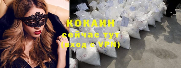 стаф Апатиты